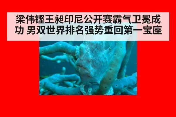 梁伟铿王昶印尼公开赛霸气卫冕成功 男双世界排名强势重回第一宝座